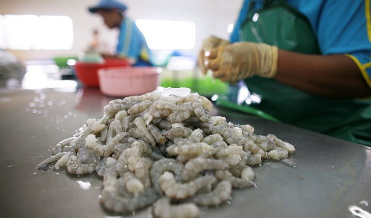 //anseafood.superweb.xyz/files/images/blog/San-xuat-tom-730x430.jpg