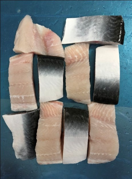 Pangasuis Skin on, Portion Cut