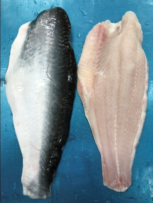 Pangasius skin on, belly on,  Fat off or Fat on